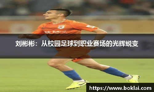 bibo必博官方网站