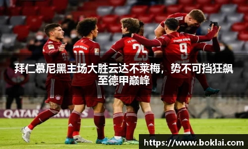 bibo必博官网