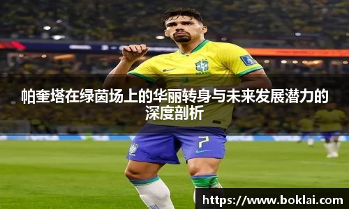 必博(中国)Bibo·官方网站